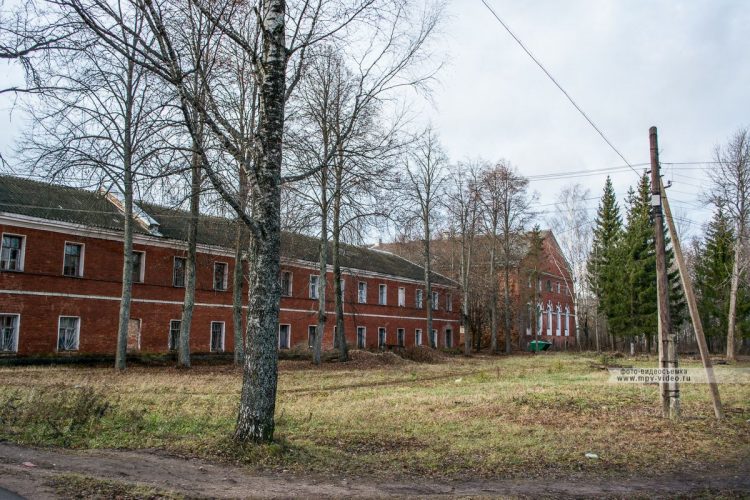 Село медведь новгородской области фото