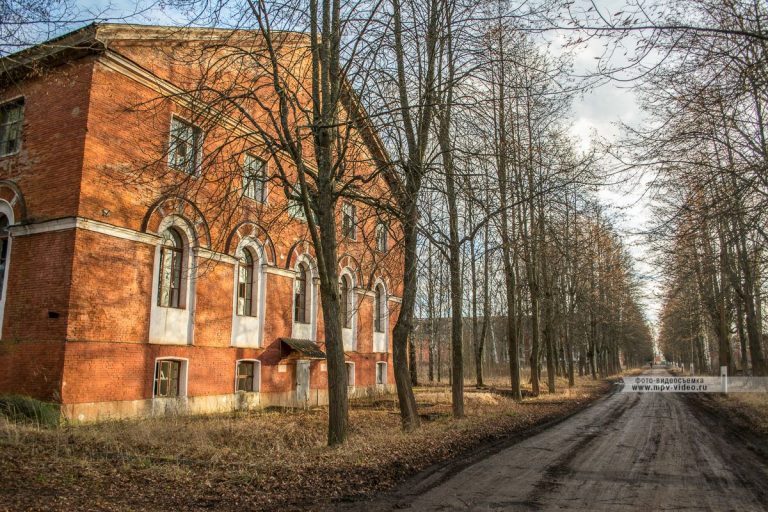 Село медведь новгородской области фото